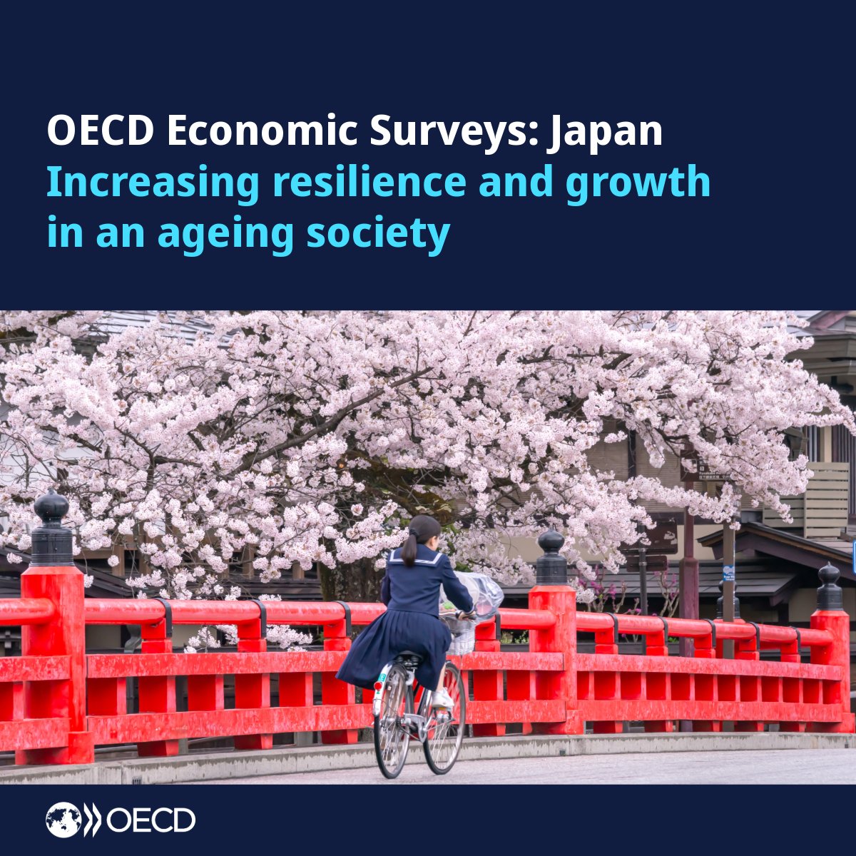 OECD Economics tweet media