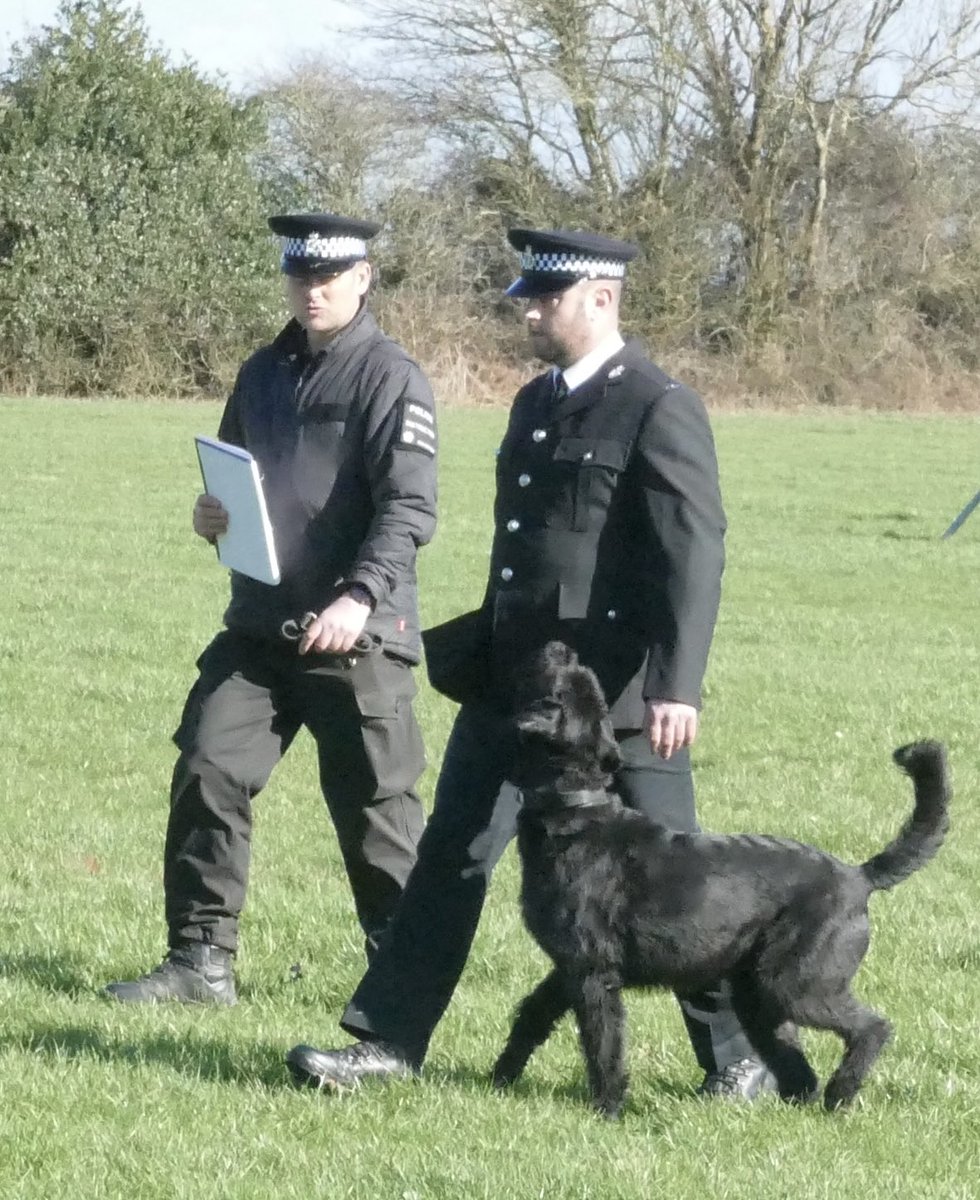 DC_Police Dogs ( Puppy Development Program) tweet media