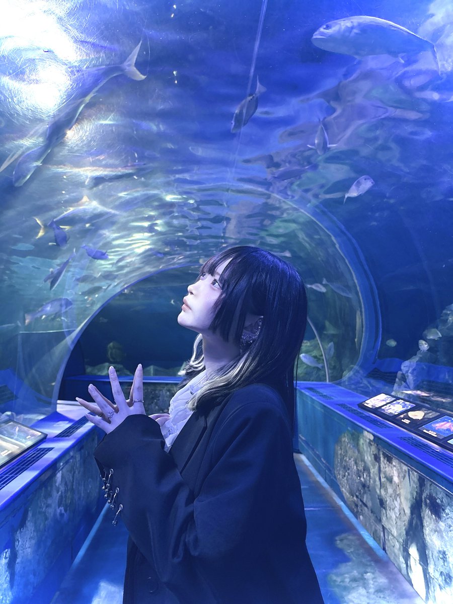 凜々蝶。 tweet media