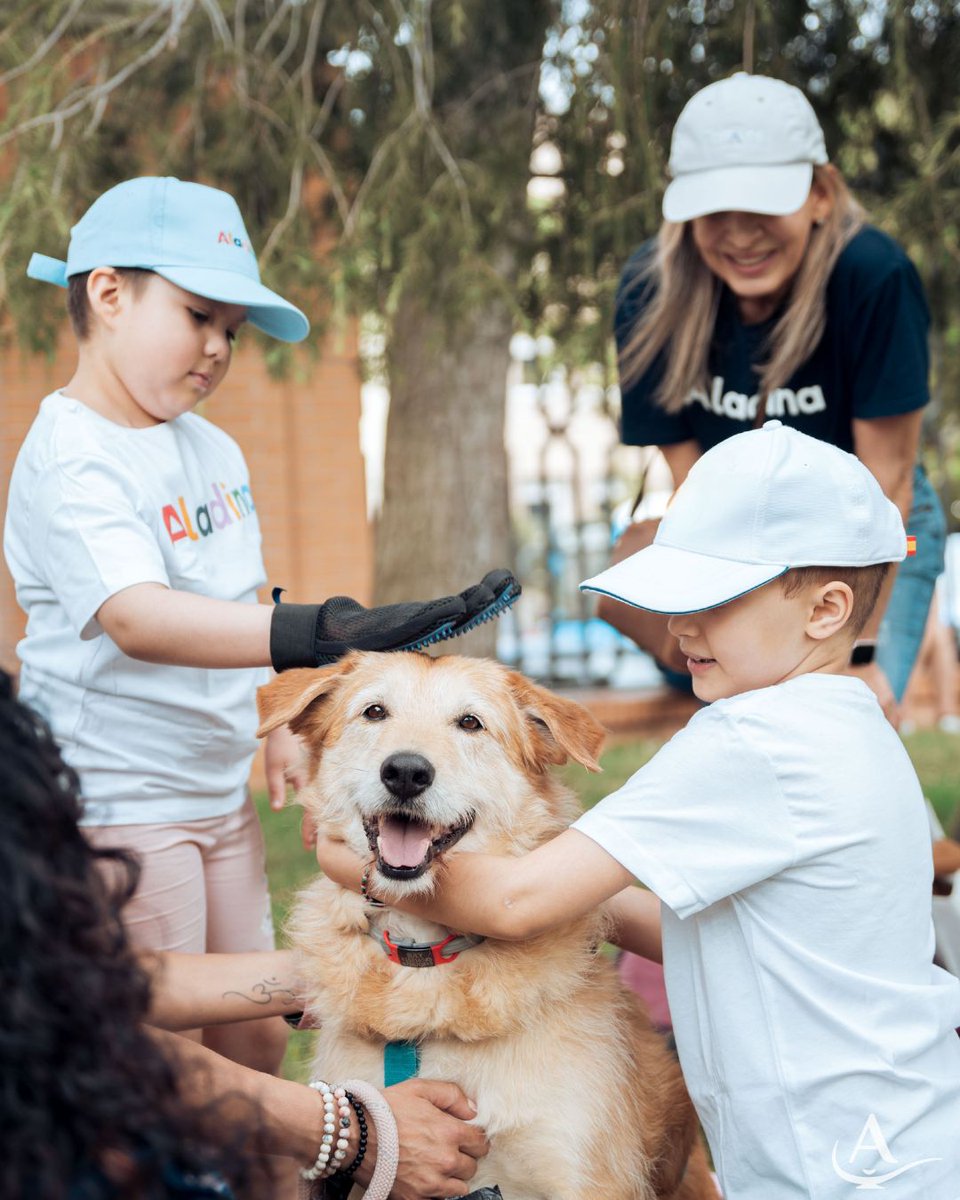 Fundación Aladina tweet media