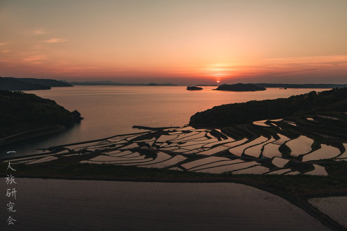 一人旅研究会 tweet media