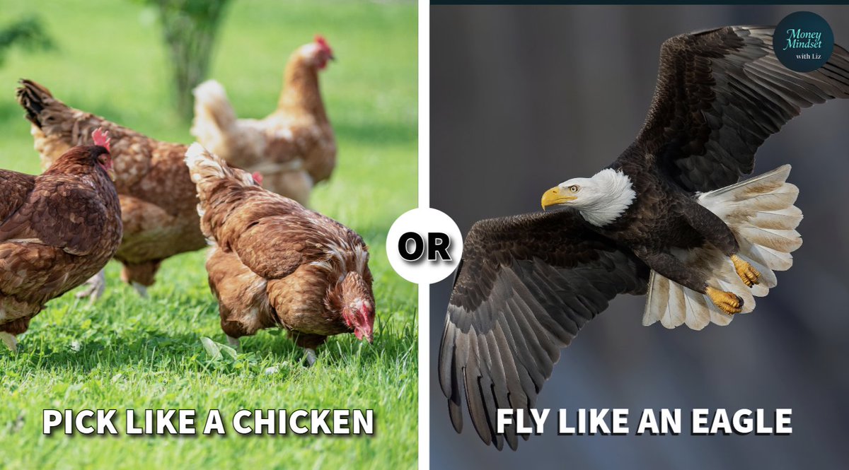 HWconsul's tweet photo. If you wanna fly like an eagle, stop picking with the chickens. Rise above the coop and claim the skies.
Avoid distractions and funnel focus on your goals.
#focus #resilience #persistence https://t.co/mRa00WIJ1h
