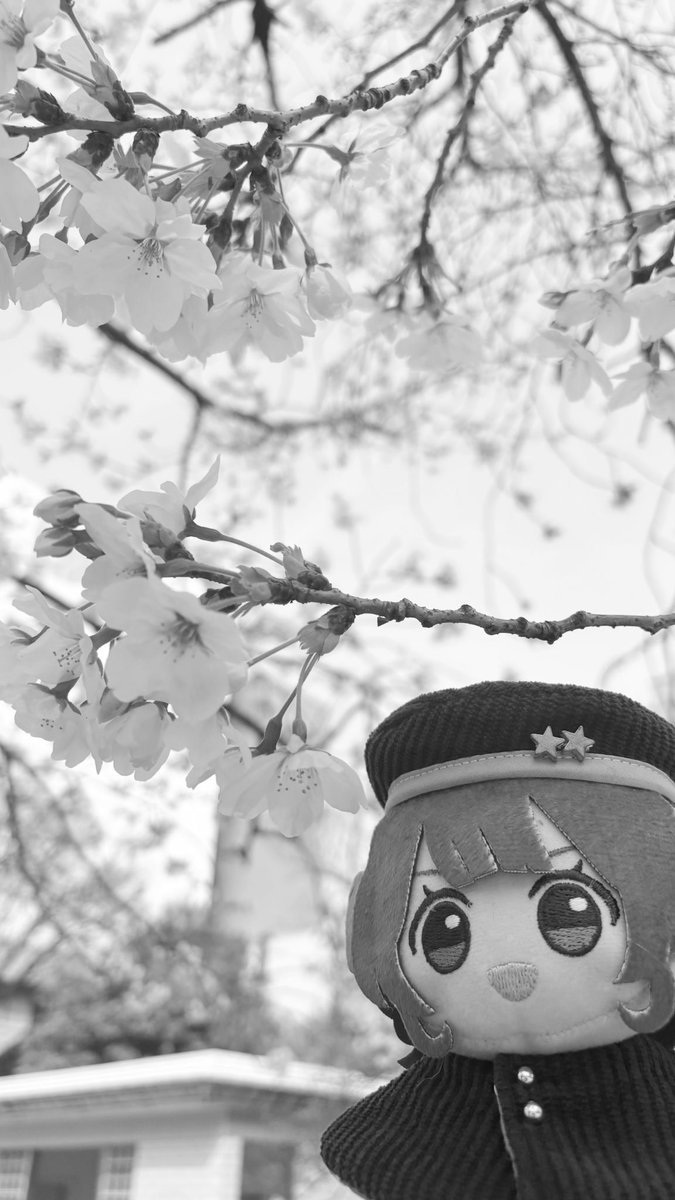 べるぬ〜い tweet media