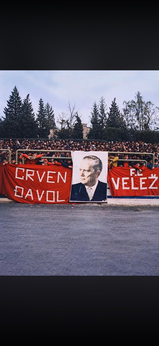hercegovac tweet media