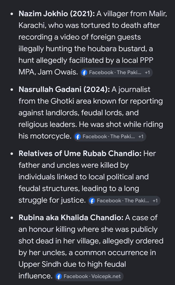 Sindhi Warrior tweet media