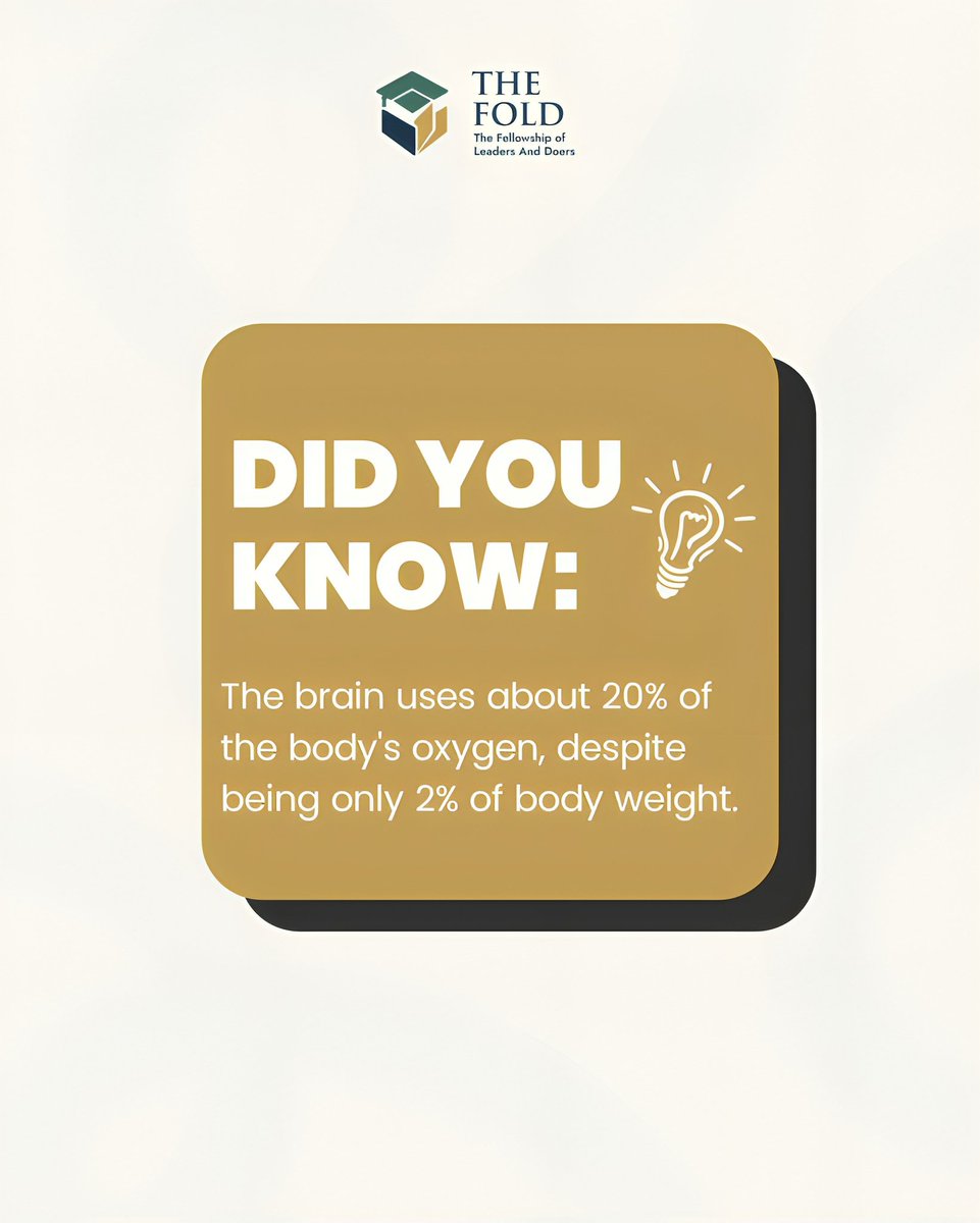 the_fold01's tweet photo. Your brain uses about 20% of your body’s oxygen even though it only makes up around 2% of your body weight. Wild, right?

That’s why sleep, hydration, movement, and proper nutrition matter more than most students realize. Your brain is working overtime every single day. https://t.co/Whz8Sz9u2h