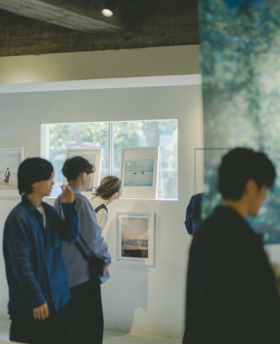 rintaro shimada tweet media