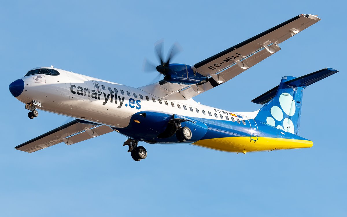 Canaryfly tweet media
