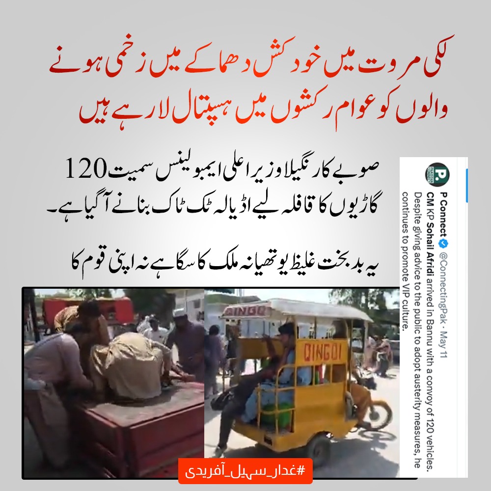 Hameed Jan 💎 tweet media
