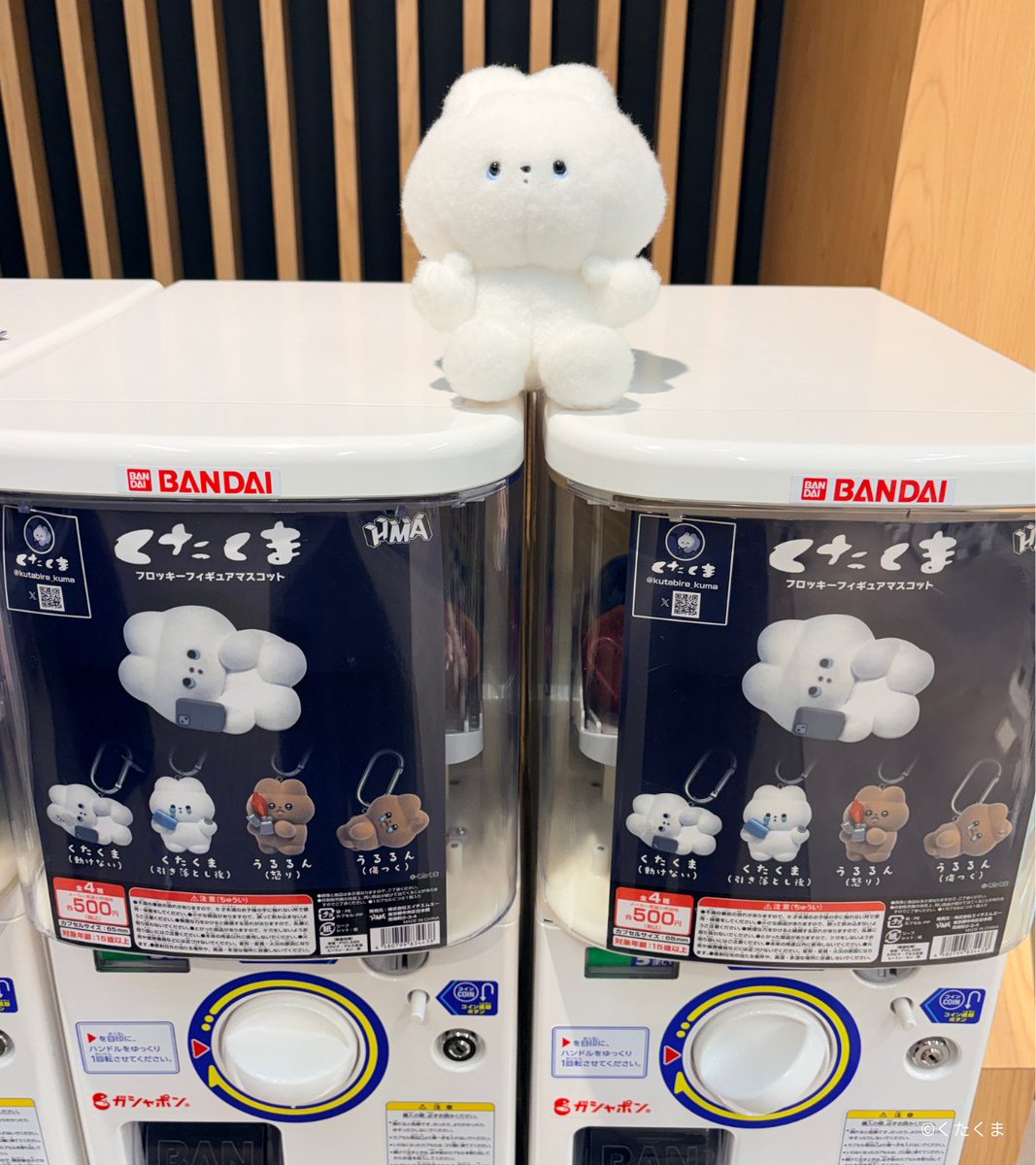 くたくま初のカプセルトイがいよいよはつばいクマ…!!! カプセルトイが