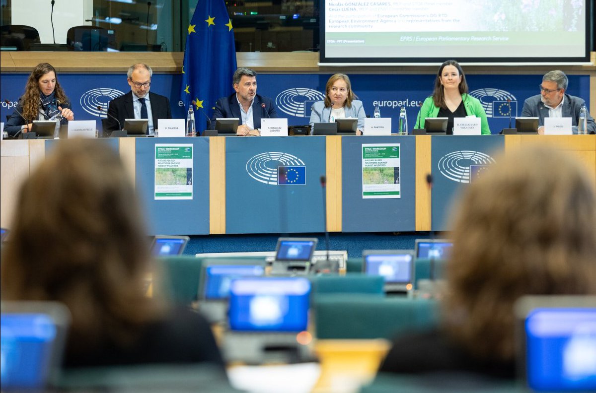 STOA Panel tweet media