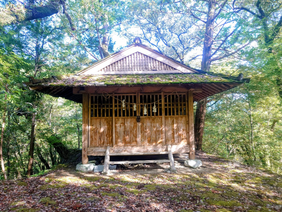 46seiun4444's tweet photo. 土佐 楮谷城🏯高知県香美市物部町

民家に通じる道(④枚目)にしか見え��、近くの方にお聞きすると 城についてはご存知なかったが、神社への通に間違いないとのことで登城✨

主郭は立伊神社①、南側Ⅱ郭にお堂跡②、Ⅲ郭は城八幡③があり、地元の方に大切にされているようでした💡
🅿️墓地前 https://t.co/t8dOVmBP9A