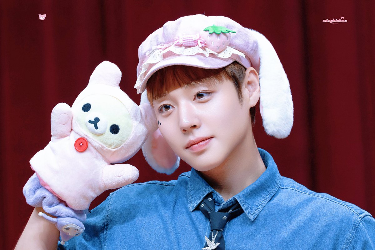 윙비츄 tweet media