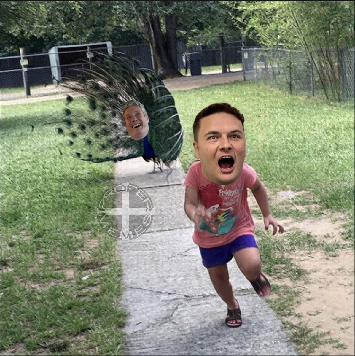 Proper Memes 〓〓 tweet media