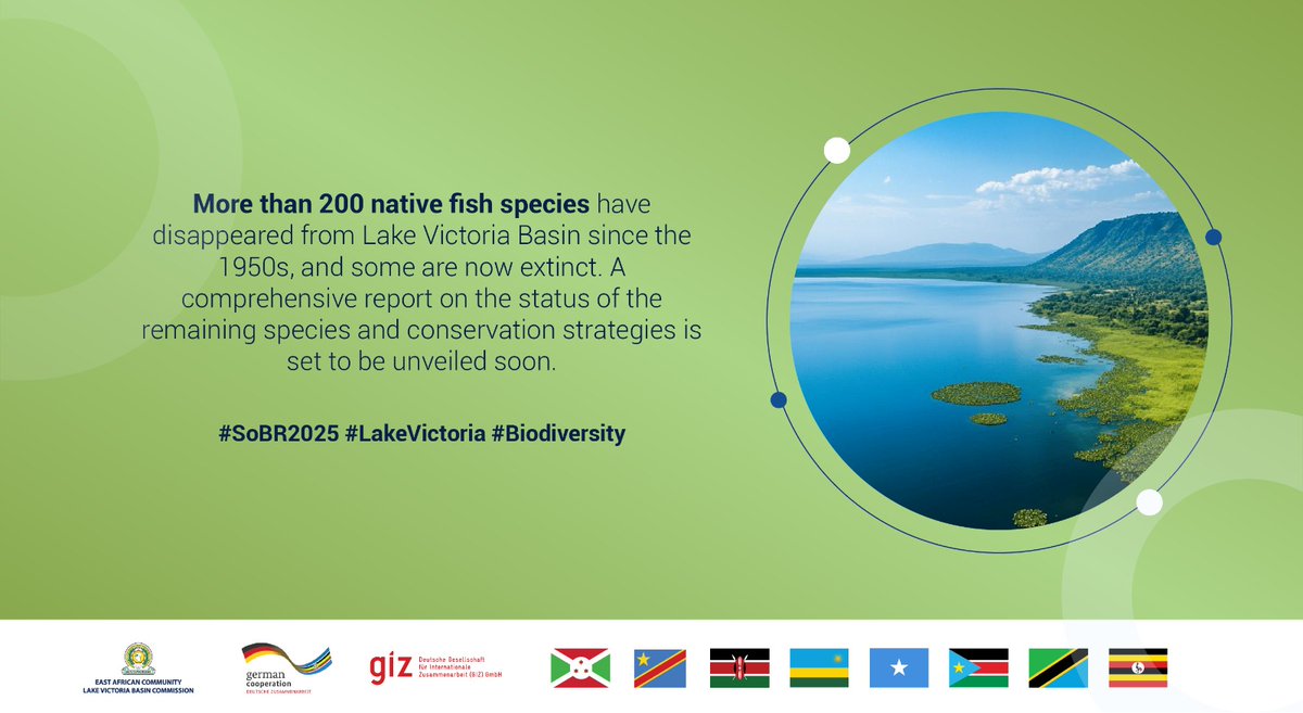 EAC_LVBC's tweet photo. The upcoming State of the Lake Victoria Basin Report 2025 will provide comprehensive insights into these environmental and socio-economic changes, and the urgent actions needed for a sustainable future.
#LakeVictiriaDay #LetsMeetInMwanza
#StateofLVB #BlueEconomy #Biodiversity https://t.co/XhshJUsAHE