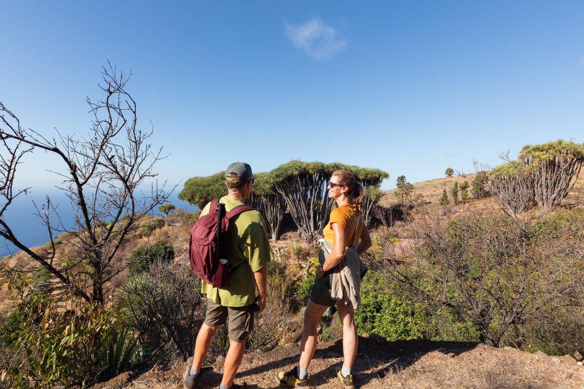 Visitlapalma_de tweet media
