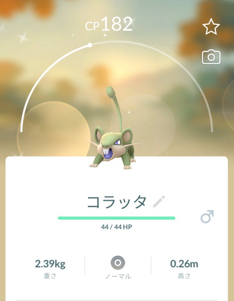 GoToHell_Poke's tweet photo. いまはめずらしいかもしれませんねｗ
#ポケモンGO #色違い https://t.co/HFuAdVMHNt