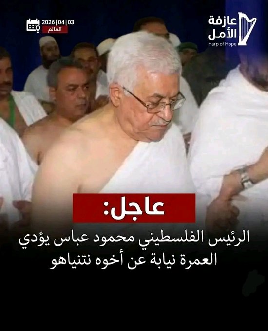 الدكتورة شهلاء الايرانية tweet media