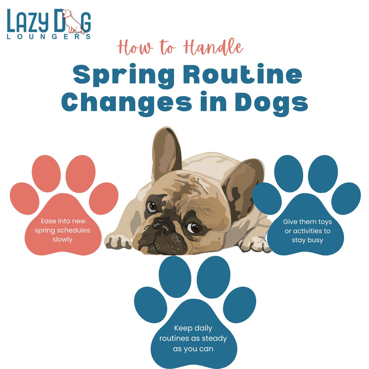 lazydogloungers's tweet photo. From longer walks to the first splash of the season, make every moment more fun and relaxing for your dog. 💦

👉 Get your pup ready for spring and summer adventures at https://t.co/RsKCiuLxbA

#LazyDogLoungers #SpringWithDogs #DogSummerVibes #PoolsidePup #FloatingDogs https://t.co/rg9sCIU6B8