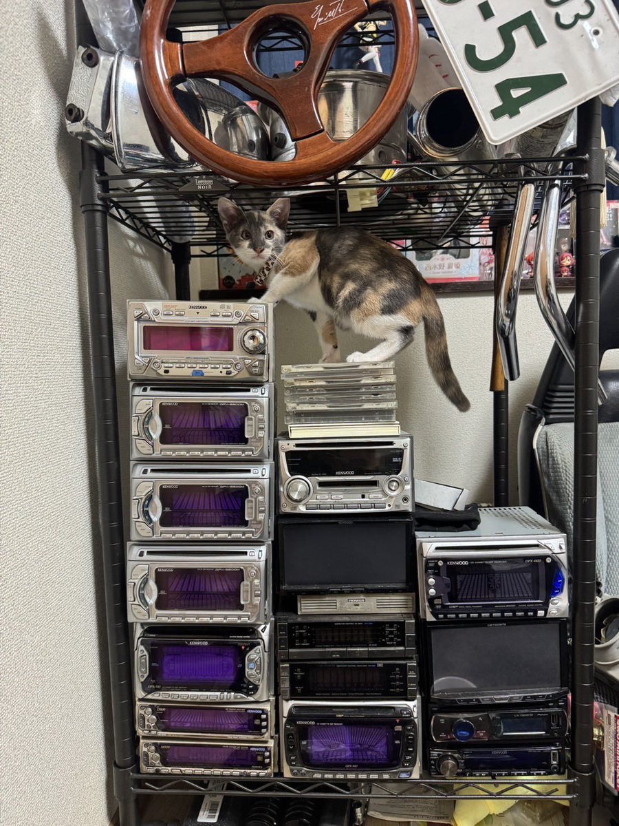 はらㄘ tweet media