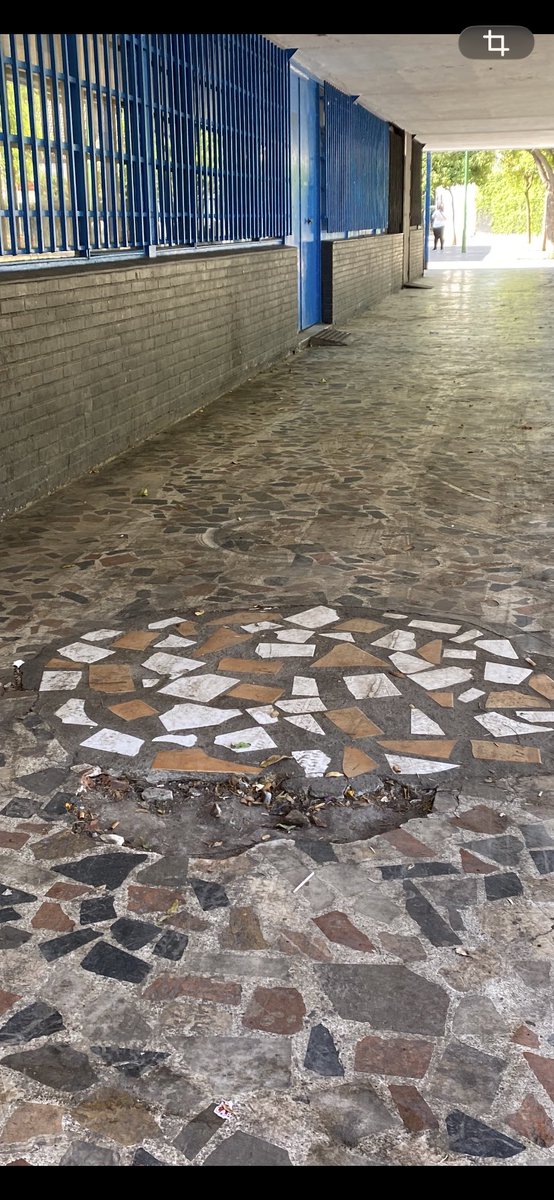 FranFranpechu's tweet photo. @Ayto_Sevilla Este domingo tenemos  elecciones aquí, en la plaza de Juan XXIII y tenemos el suelo de acceso lleno de agujeros y comido de suciedad. Necesitamos respuesta urgente para este problema, nuestros mayores se la juegan cada vez que tienen que atravesar por aquí.Gracias https://t.co/hzzLkAF7wW