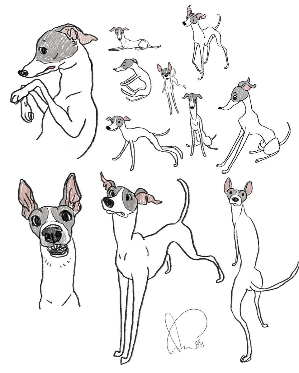 #愛犬の日
この前、新幹線の中でふと愛犬に会いたくなって描いていた絵。
自分の愛犬を描く時、あえて写真等は見ずに記憶の資料だけで描くのが大好きです。 