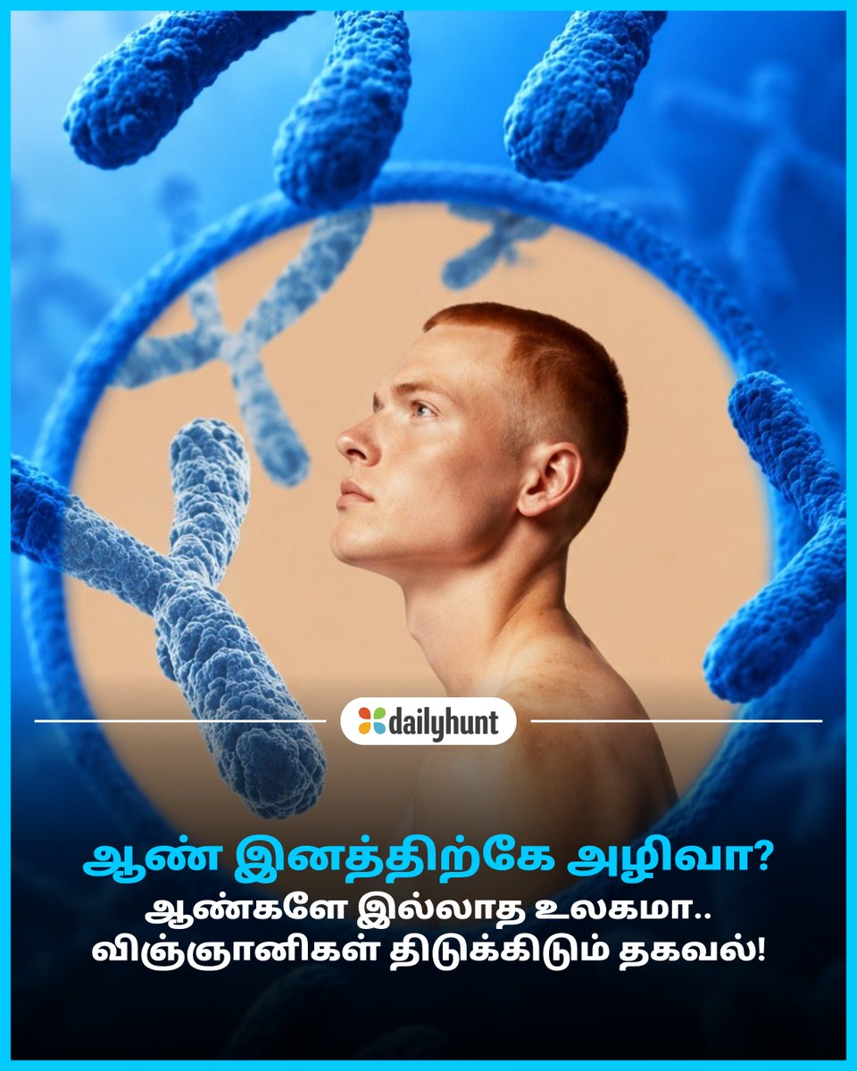 DH_Tamil's tweet photo. பகீர்.! அழிவின் விளிம்பில் ஆண் இனம்..!எதிர்காலத்தில் ஆண்கள் இனம் இருக்குமா?
📸 Credit: AI
Kalki Online மற்றும் பிற முன்னணி மூலங்களின் செய்திகளை இங்கே வாசிக்கவும். https://t.co/eyqjWhgLza
#MaleExtinction #FutureOfMen #Genetics #HumanEvolution #Lifestyle #Fea https://t.co/QpBOohdt0s