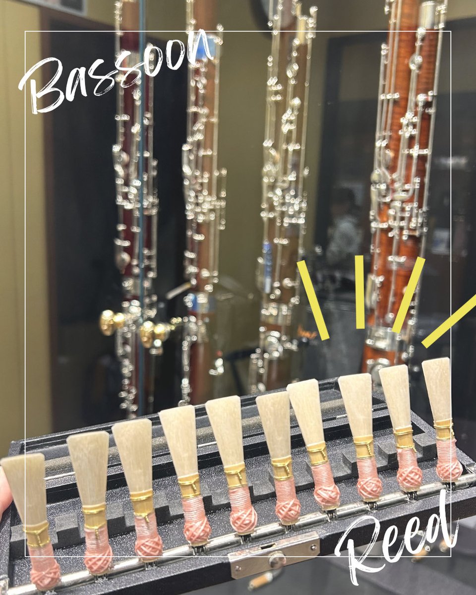 ファゴットまとめ情報(Bassoon info) (@bassoon_info) / Posts / X