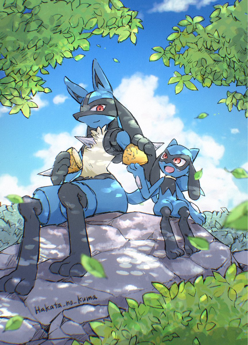 博多のくま tweet media