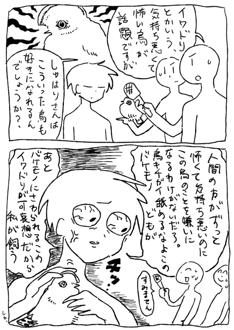 素人は黙っとれ…

 #アンデスイワドリ #イラスト #漫画 #鳥好きさんと繋がりたい 