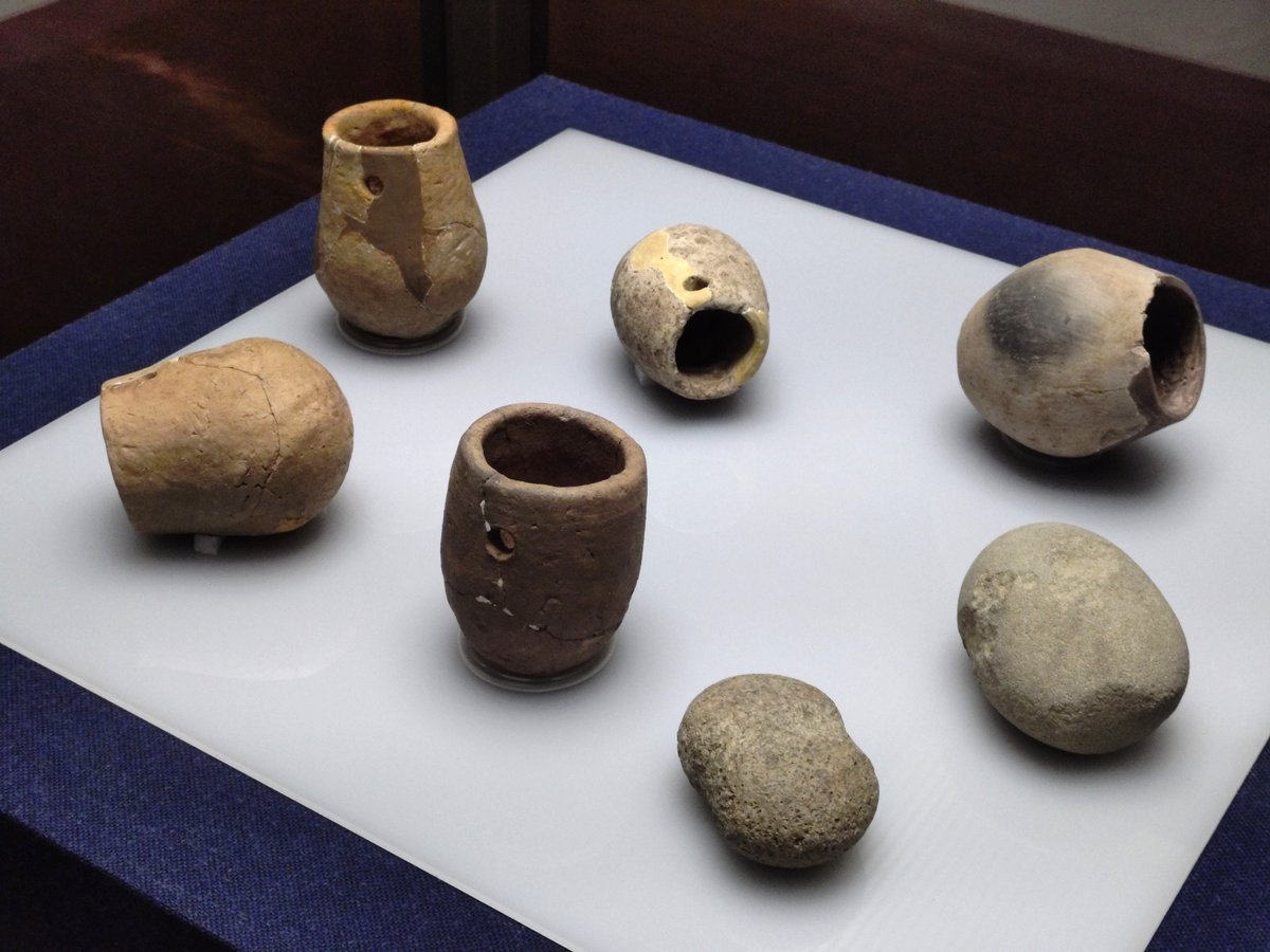現在も名物として知られる明石海峡の蛸(タコ)。 実は神戸の弥生時代の
