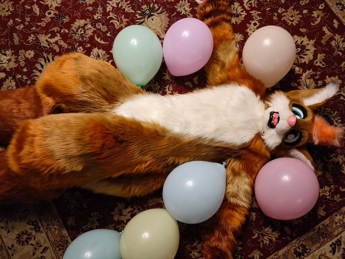 raukru's tweet photo. HAPPY BIRTHDAY TO ME 🥳😭
#furry #fursuit #fursuiter #furryfox https://t.co/aHj8nyjLvD