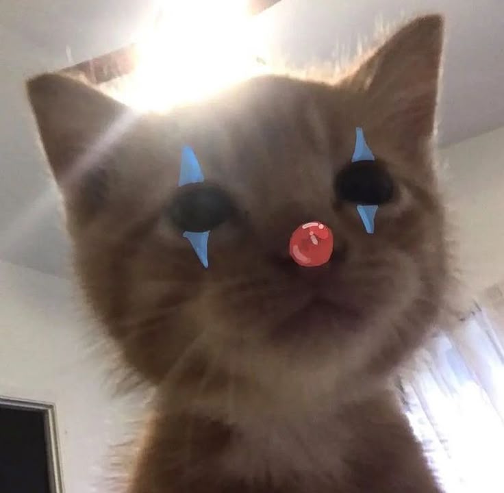 F/A | Demonlyy ツ tweet media