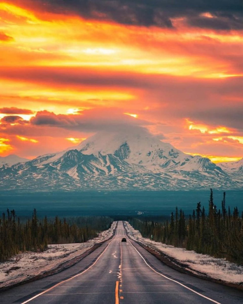 Beauty of Nature tweet media