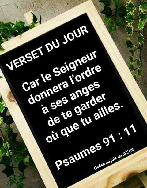Anne VAUZANGES tweet media