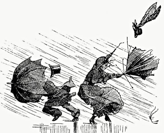 Marcel·lí Virgili ☂️ tweet media