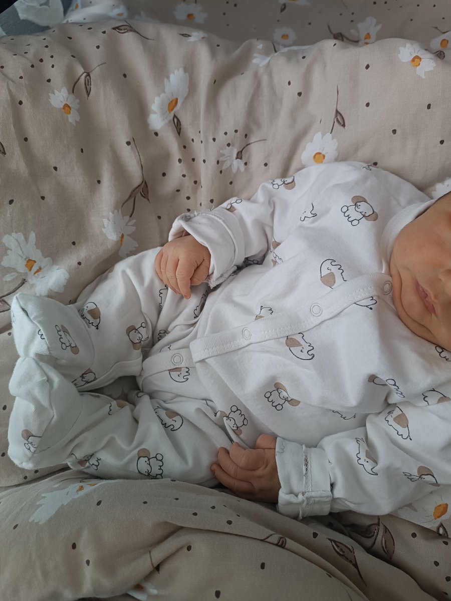 hnffeeyllcn's tweet photo. Güne dünyanın en güzel kokusuyla, bu minik tarafından uyandırılmak... Cennetten bir esinti gibi ✨ 🧿 https://t.co/MiJW50dOP8
