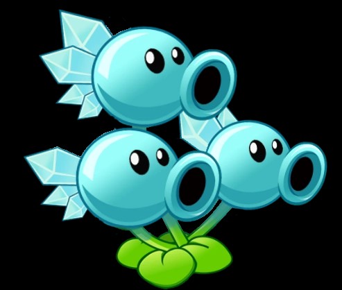 Macibo_250 tweet media