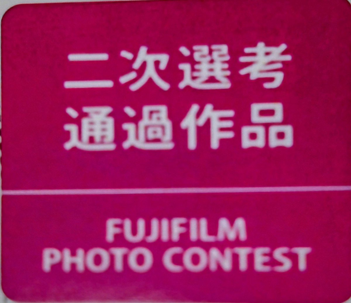 中堀 雅英 tweet media