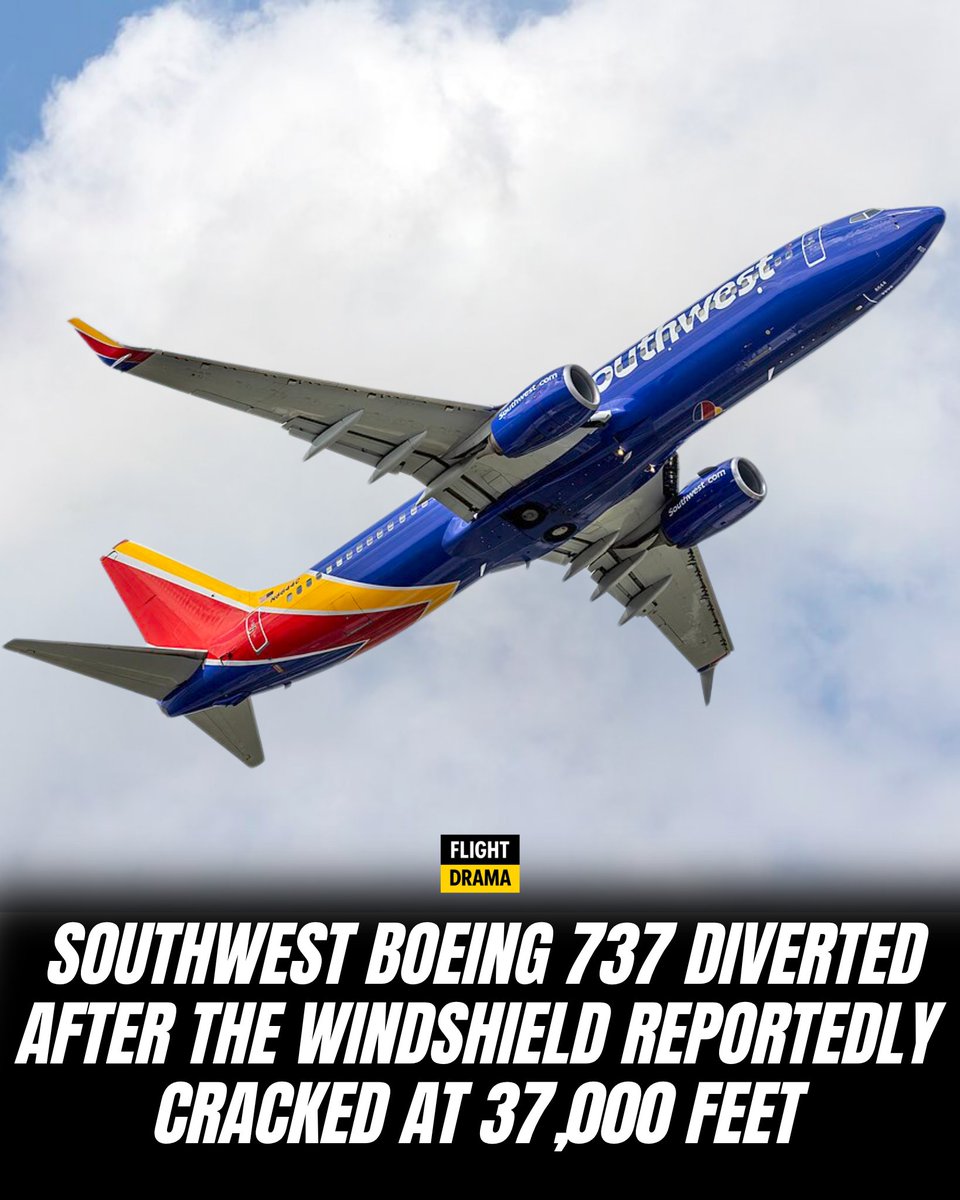 Flightdrama tweet media