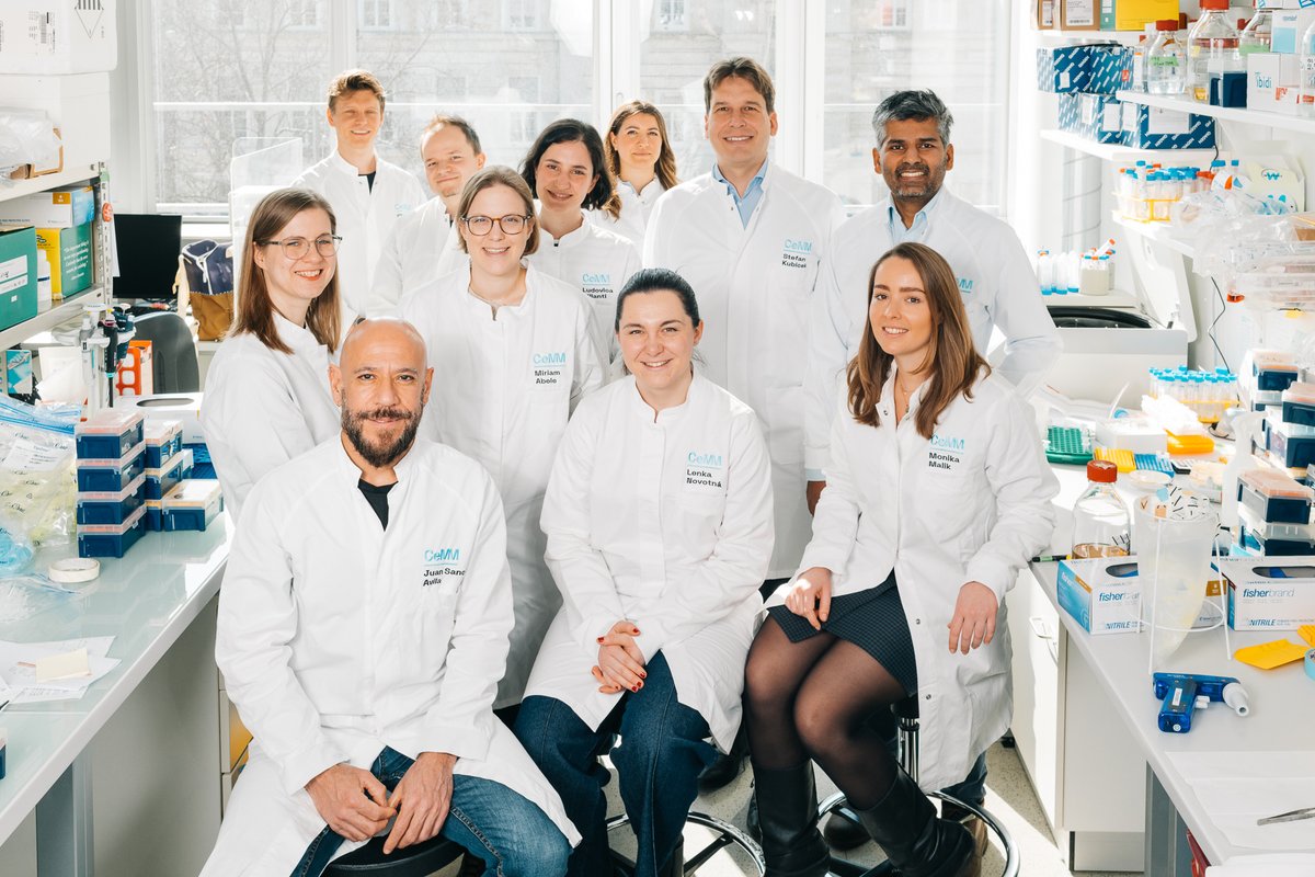 CeMM_News's tweet photo. From mapping protein interactions to screening 100k+ compounds, the Molecular Discovery Platform at CeMM supports academia &amp; industry from experimental design to data analysis. 🧬

#MDP offers expertise in proteomics, metabolomics &amp; chemical screening.

➡️https://t.co/lBlKAWAEnN https://t.co/tPR86g0jEa