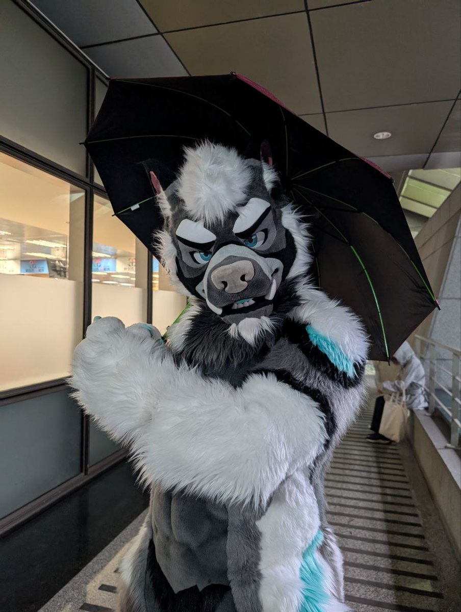 Reijinwolf's tweet photo. ここ数日の雨、まるで終わらないみたいだね。でも大丈夫〜 少なくとも、僕が傘を差してあげるし、一緒に晴れるのを待っているから。☔

These days, the rain feels like it’s never going to stop.But that’s okay~ At least I can hold the umbrella for you and stay by your side until the sky clears up. 

📷: @yanxiaoyan18187 
#FursuitEveryday