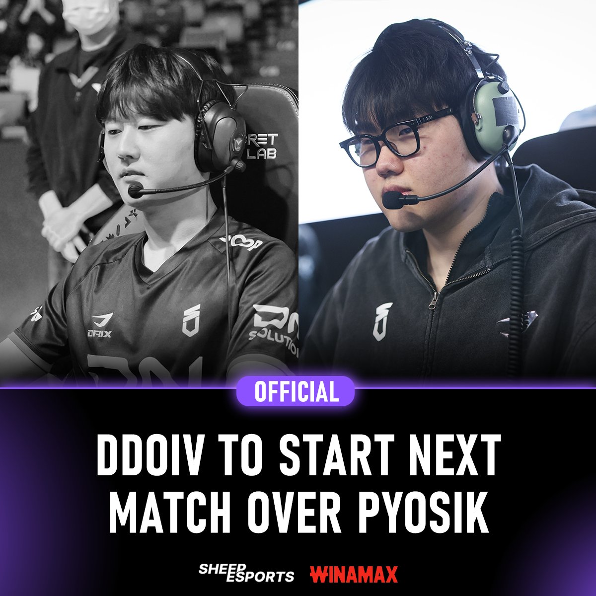 Sheep Esports tweet media