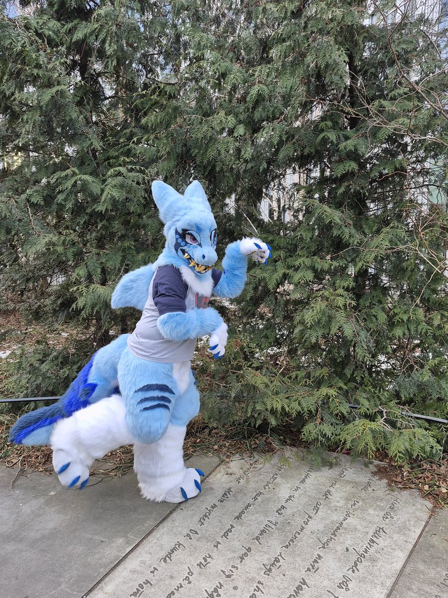_winako_'s tweet photo. Say hi to Jolanka (again)!
This suit was made in 2024 but I had the opportunity to upgrade it to a halfsuit last year! :D Thanks so much to @_sharkcircus_  for trusting me again!
(photo credit to Sharkahm!) https://t.co/cBMnLQtwbT