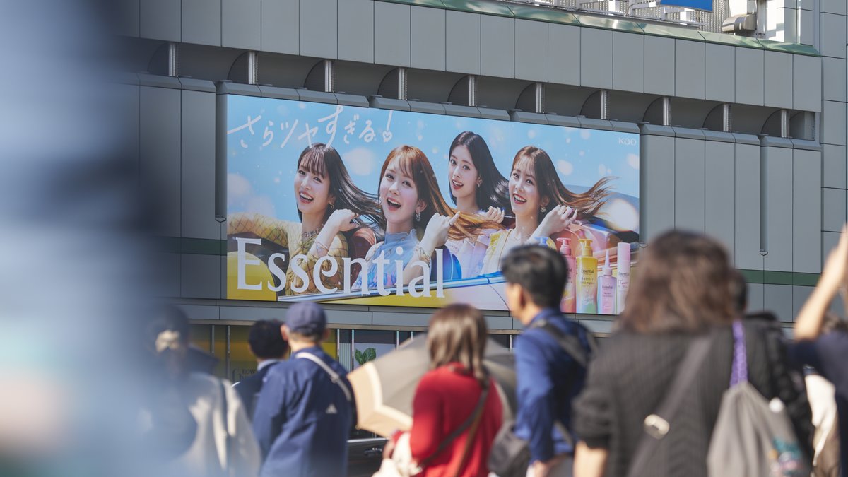 Essential(エッセンシャル) tweet media