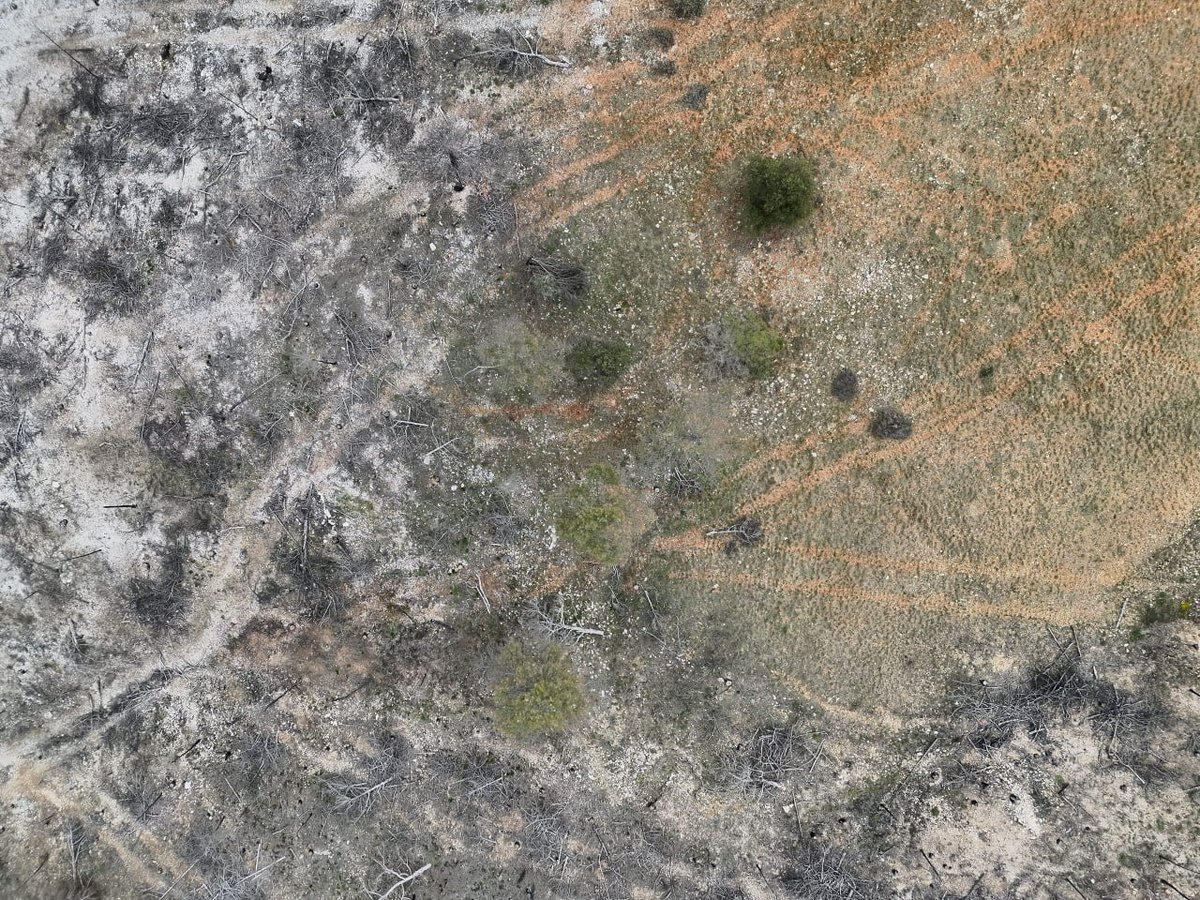 GobAragon's tweet photo. 🔥 El dispositivo INFOAR refuerza la lucha contra los incendios forestales con una unidad de drones.

🧑‍🚒 El equipo dispone de dos aeronaves no tripuladas con tecnología térmica y georreferenciación para mejorar la detección de puntos calientes y la gestión del territorio

✔️ https://t.co/GzaI1y3nap