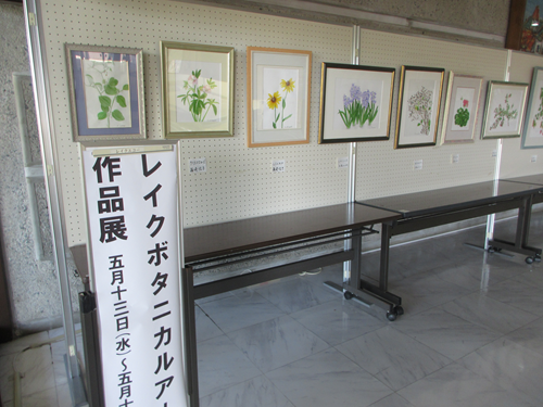 lakeecho3877's tweet photo. 本日5月13日より、レイクボタニカルアート作品展が始まりました！会場にはデコポンやタケノコ、色鮮やかな朝顔など、細部まで丁寧に描かれた植物画が並んでいます。設営中も笑顔が絶えず、和やかな雰囲気。感性が光る力作を、ぜひ会場でご覧ください。
#ボタニカルアート #植物画 #作品展 #アート https://t.co/b5TVLWB1xR