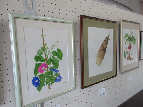 lakeecho3877's tweet photo. 本日5月13日より、レイクボタニカルアート作品展が始まりました！会場にはデコポンやタケノコ、色鮮やかな朝顔など、細部まで丁寧に描かれた植物画が並んでいます。設営中も笑顔が絶えず、和やかな雰囲気。感性が光る力作を、ぜひ会場でご覧ください。
#ボタニカルアート #植物画 #作品展 #アート https://t.co/b5TVLWB1xR