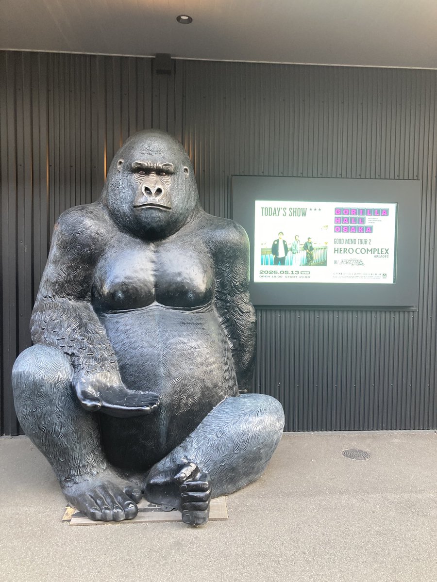 ジュンヤ🦫 tweet media