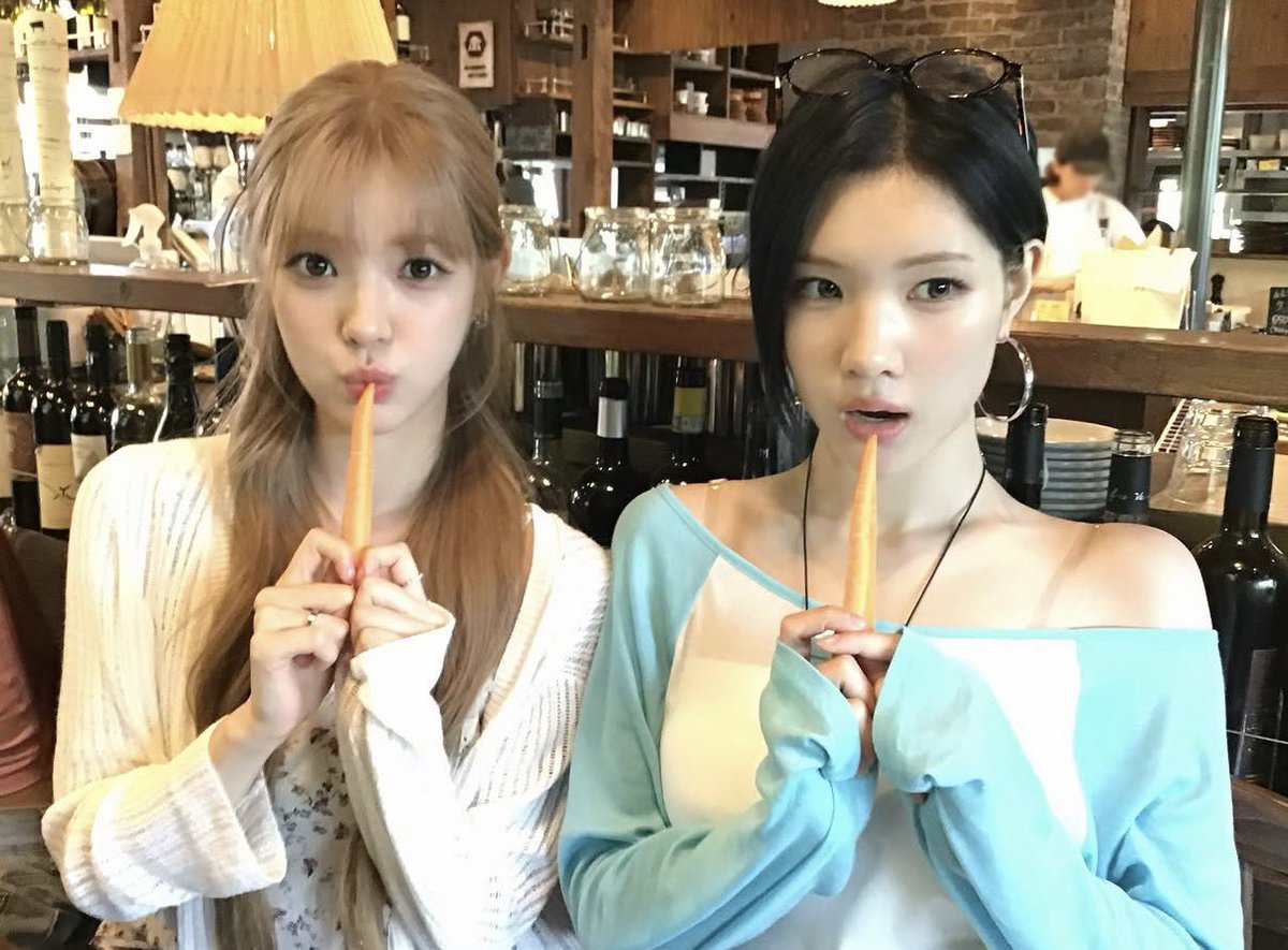 빵 tweet media